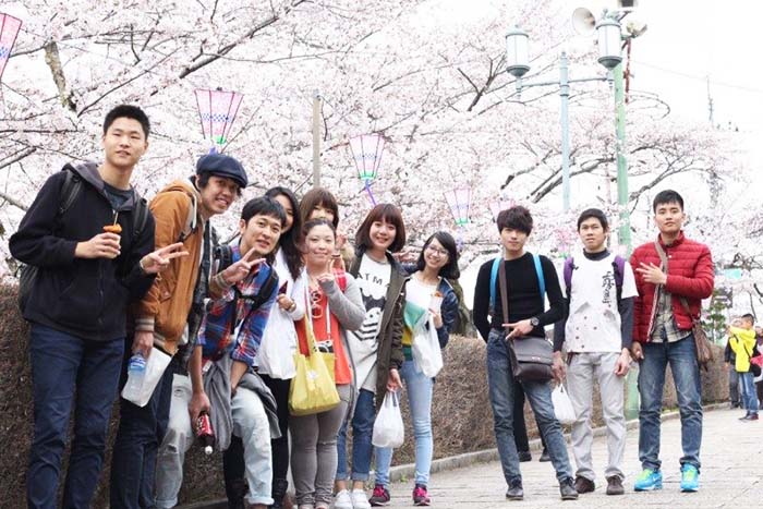 Fields of study and career opportunities in Korea